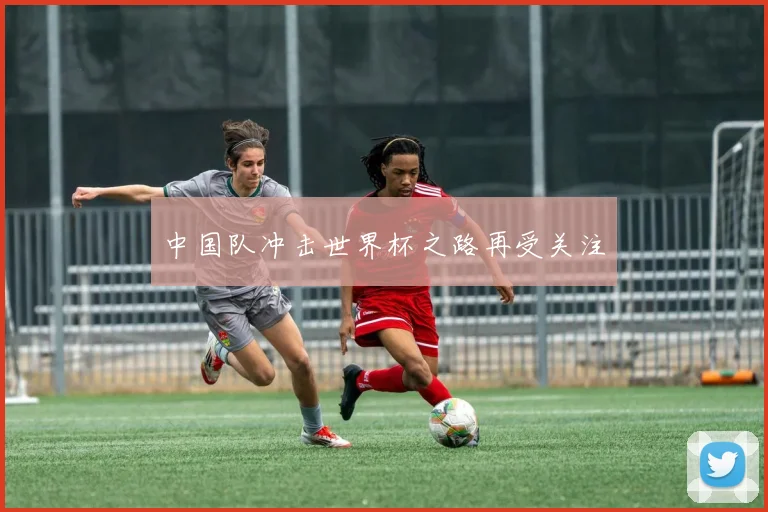 中国队冲击世界杯之路再受关注