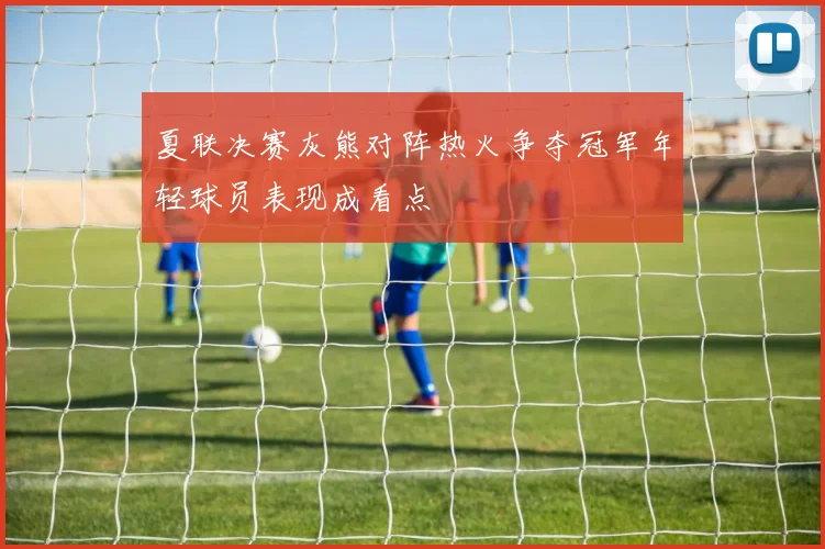 夏联决赛灰熊对阵热火争夺冠军年轻球员表现成看点