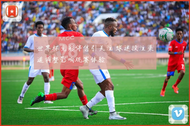世界杯竞彩停售引关注 球迷投注渠道调整影响观赛体验