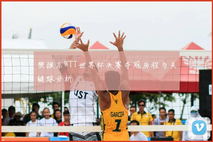 樊振东WTT世界杯决赛夺冠历程与关键球分析