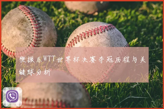 樊振东WTT世界杯决赛夺冠历程与关键球分析